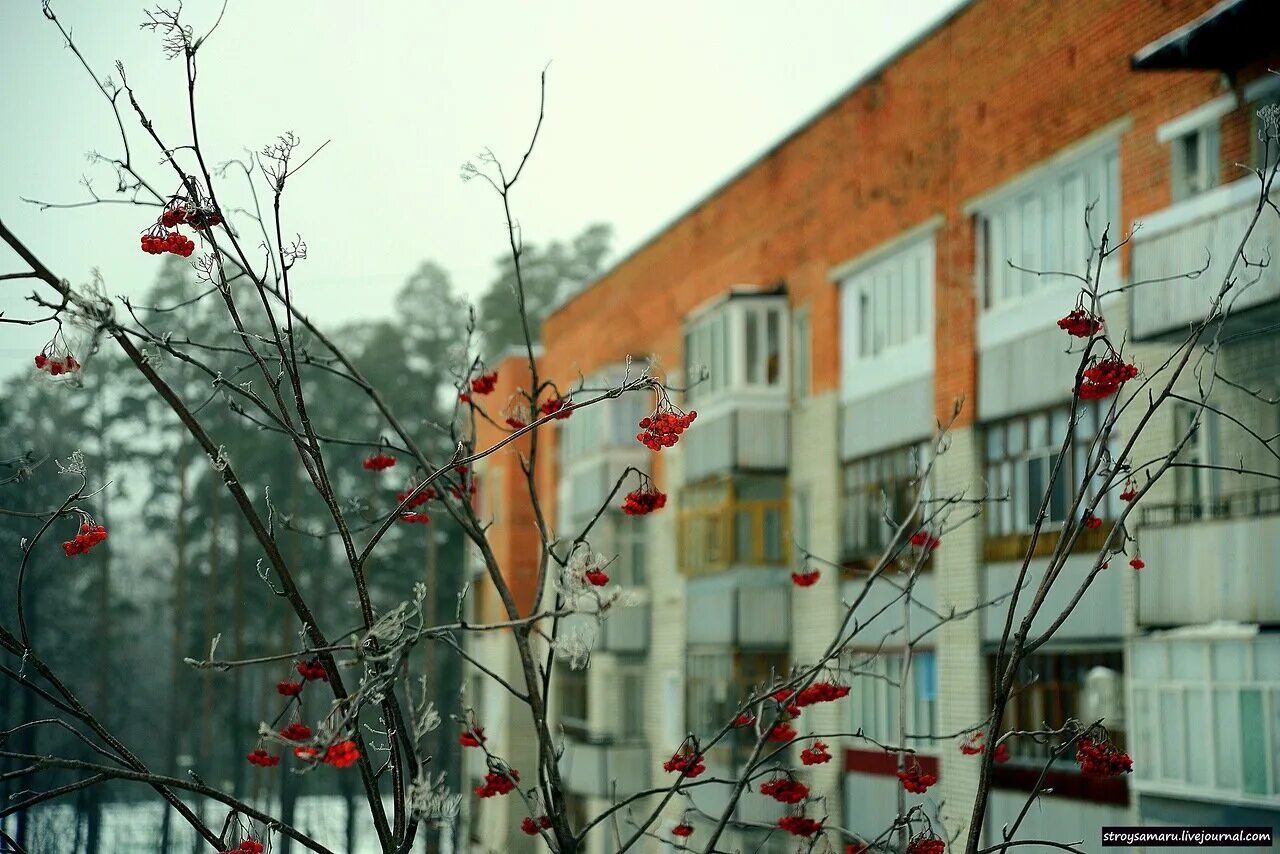 парк лермонтова заречный пензенской области. заречный пензенская область погода январь. город заречный пензенская область. заречный пензенская область погода январь. площадь ленина заречный пензенская область.