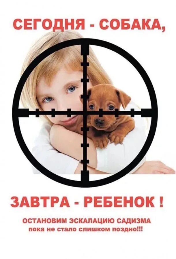 Остановись в детской. Против жестокого обращения с животными. Социальная реклама против жестокого обращения с животными. Нет жестокому обращению с животными. Рекламу о защите животных от жестокого обращения.