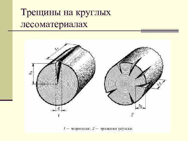 Гост трещин. Трещины усушки древесины. Пороки древесины круглых лесоматериалов. Пороки древесины трещины. Измерение трещины усушки в круглых Лесоматериалах.