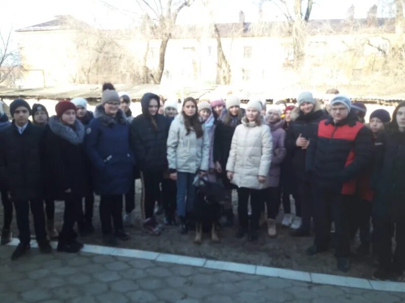 Полиция сальск. Отдел полиции Сальск. Линейный отдел полиции Сальск. Транспортная полиция Сальск. Полиция в Сальске сотрудники.