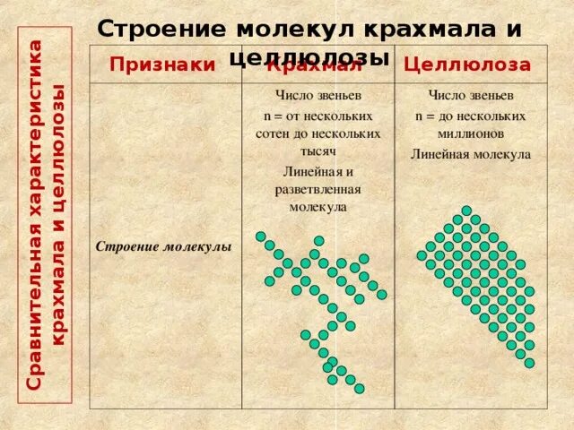 Состав и строение крахмала. Структурное строение крахмала. Особенности строения крахмала. Строение молекулы крахмала и целлюлозы.