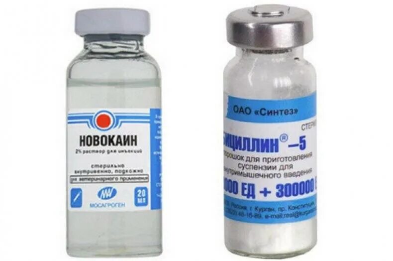 Бициллин-5 инструкция по применению ампулы. Бициллин 5 ампулы. Бициллин инструкция. Применение уколов бициллин 5. Бициллин-5 инструкция.