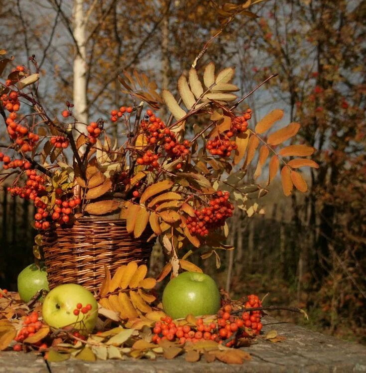 Осень балует дарами обуховой. Осенний урожай. Осенние цветы. Осень балует дарами обуховой. Осень балует дарами обуховой.