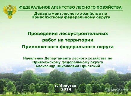 Департаменты лесного хозяйства по округам