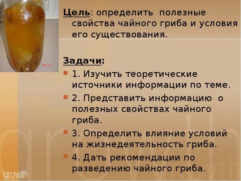 Как заварить чайный гриб на 3 литровую. Чайный гриб в 3 литровой банке. Чайный гриб полезные. Чайный гриб польза. Чем полезен чайный гри.