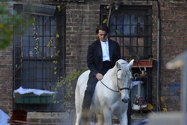 Принц на белом коне. Принц на белой лошади. Под окном на белом коне. Принц на белом коне Шрек. Белая лошадь теракт