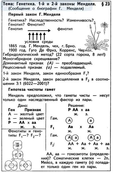 Задачи по генетике на законы менделя. Конспект по генетике. Конспекты по генетике биология. Законы Менделя конспект. Задачи ЕГЭ по биологии генетика.