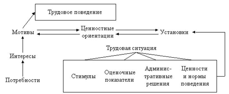 Модели трудового поведения. Трудовое поведение. Мотивации трудового поведения. Трудового поведения персонала.