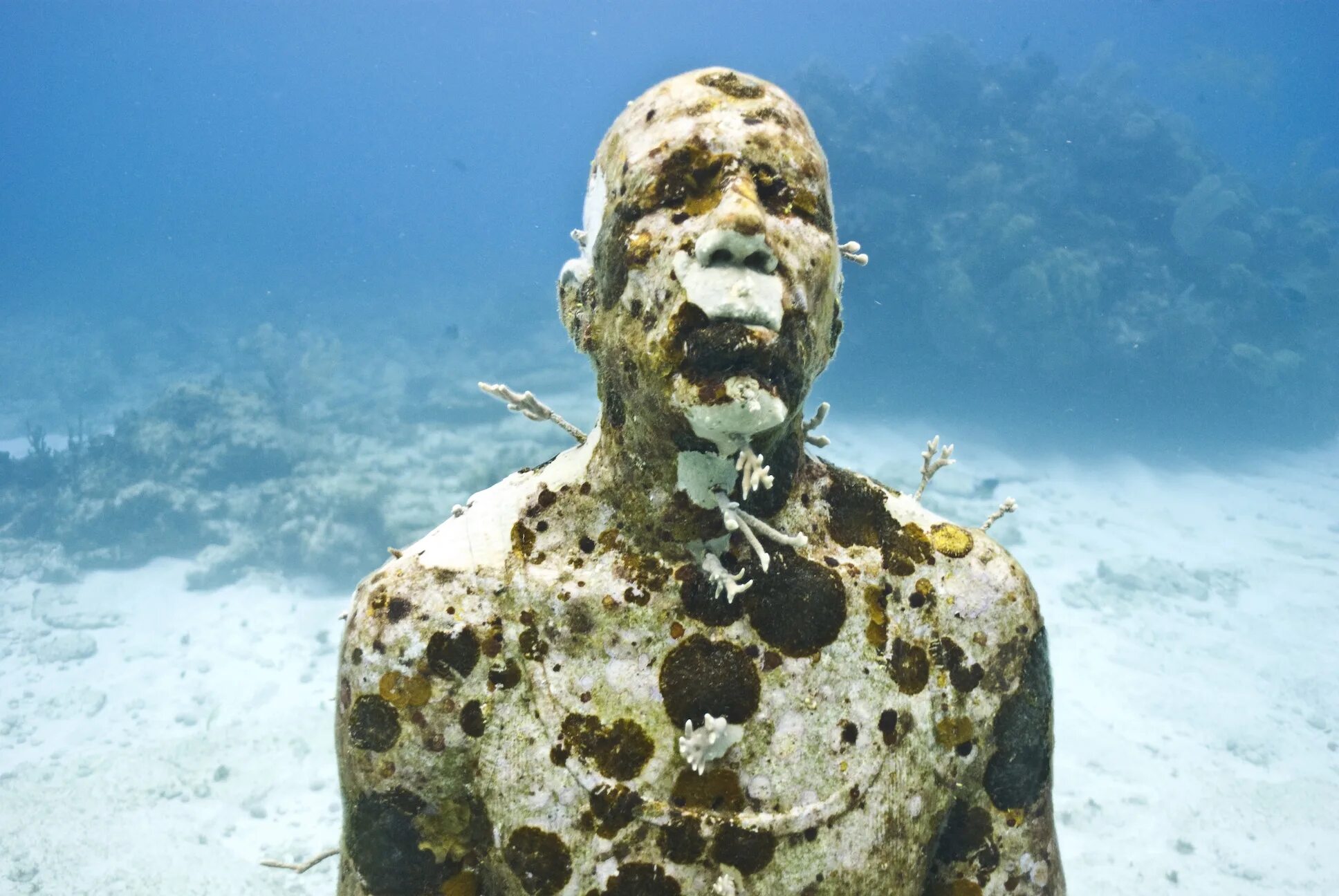 Подводный музей Джейсона де Кайрес Тейлора. Jason DECAIRES Taylor скульптор. Канкун Мексика подводный музей. Музей подводных скульптур в Канкуне. На дне океана образуются