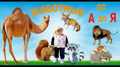 Животные малышам звуки видео