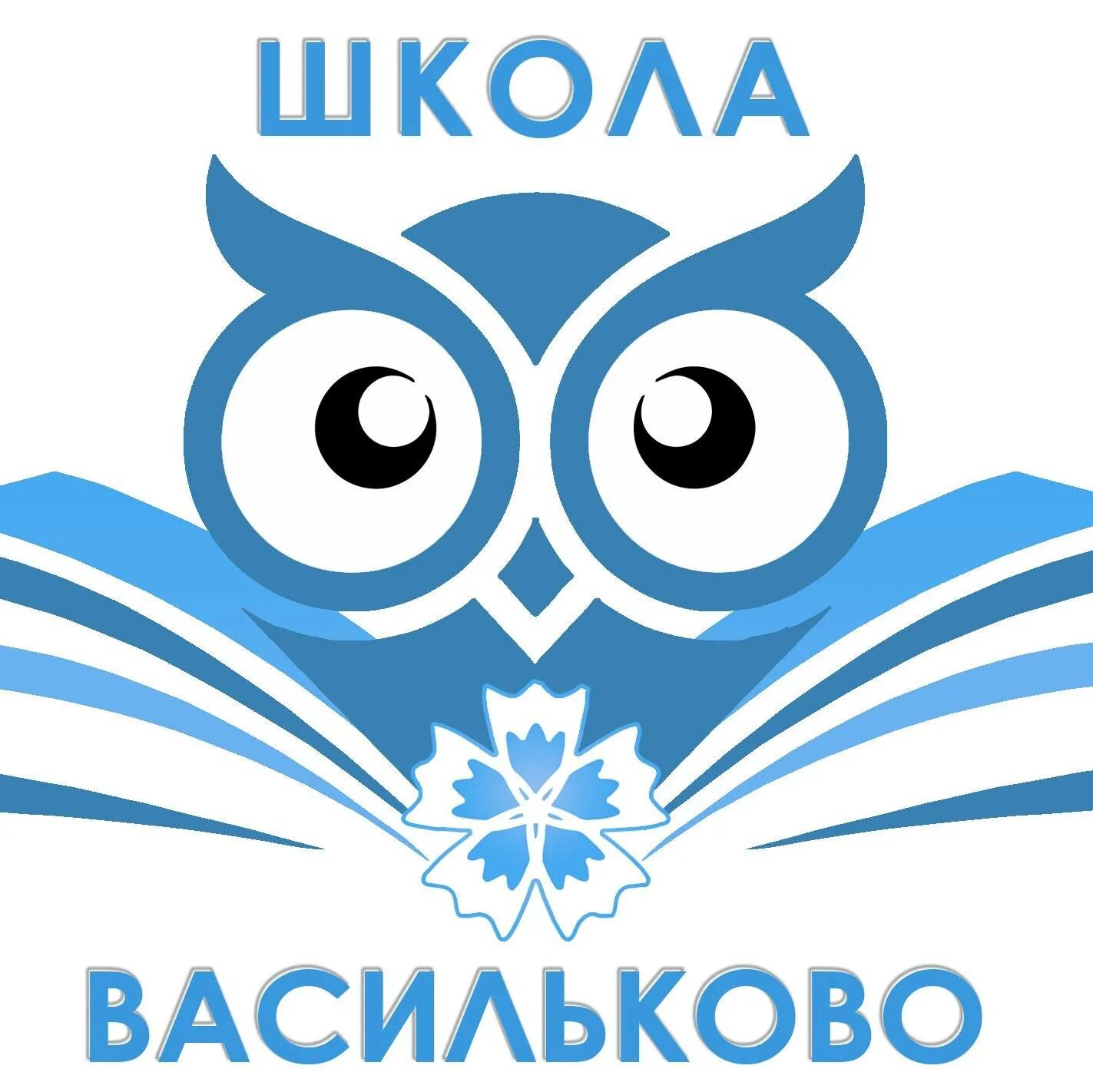 Васильков школы. Школа Васильково. МБОУ СОШ Васильково. П Васильково школа. Школа Васильково Калининградской области.