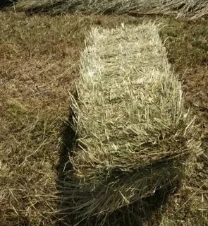 Погода в тюковном