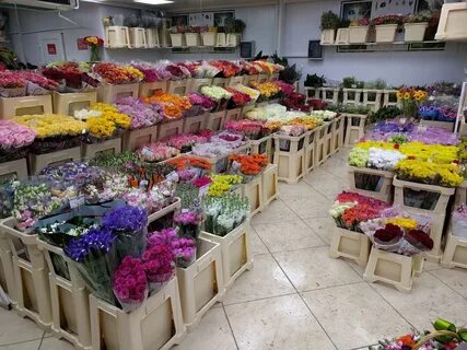 Мир цветов москва