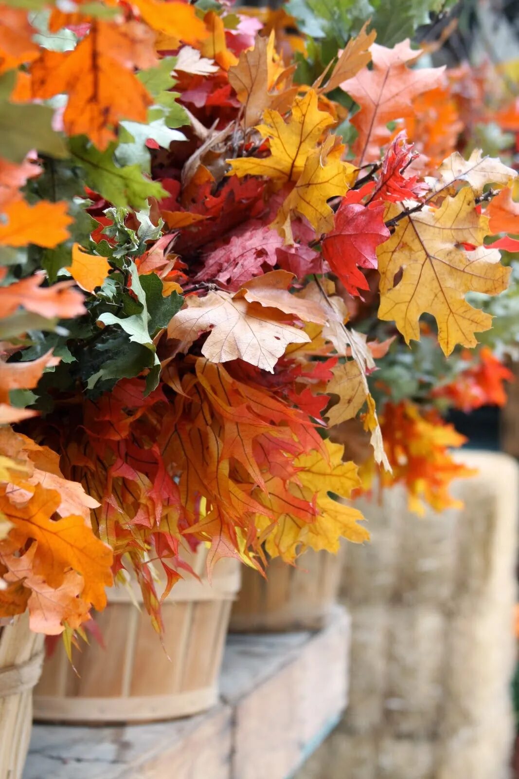 Какая теплая осень в этом году. Осенний букет. Осеннее Вдохновение. Тёплая осень. Осенние листья букет.