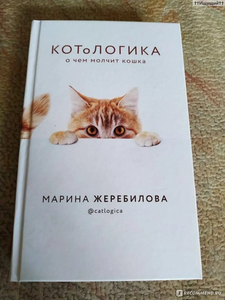 Котологика. Котологика книга. О чем молчит кошка. О чем молчит кошка. О чем молчит кошка.