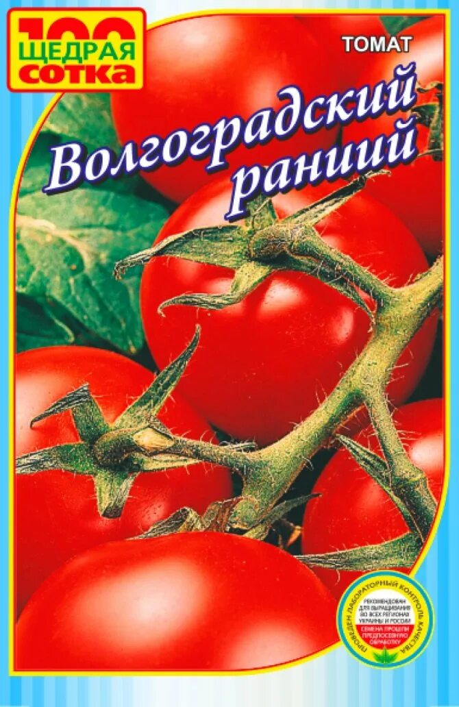Томат волгоградский скороспелый урожайность. Томат Волгоградский скороспелый 323. Томат Волгоградский скороспелый. Томат сорт Волгоградский скороспелый. Томат Волгоградский скороспелый 323 описание.