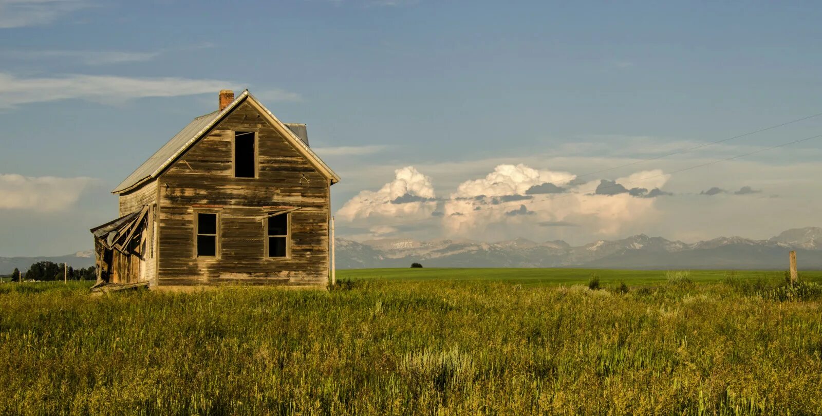 Old field