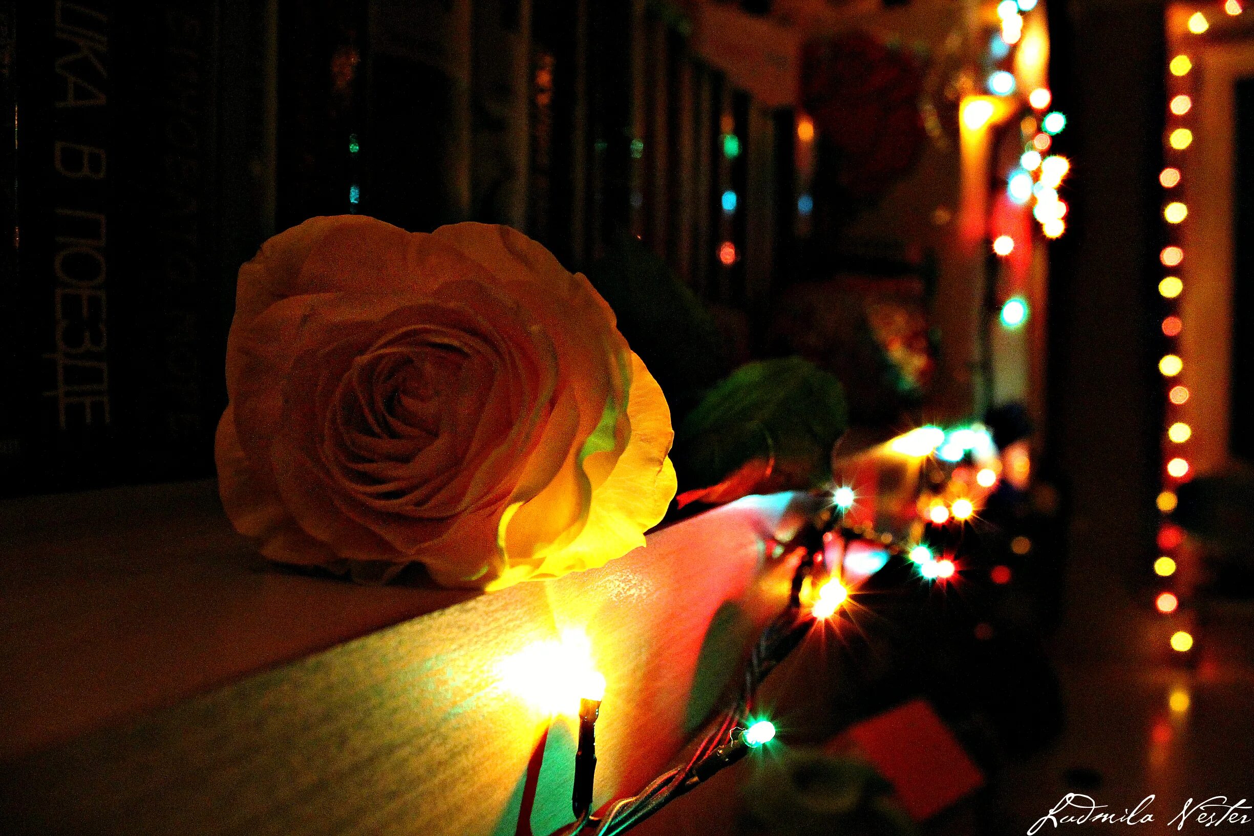 Букет роз вечер. Вечерние розы. Цветы вечер. Розы вечер.