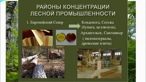 Урок географии 9 класс лесопромышленный комплекс