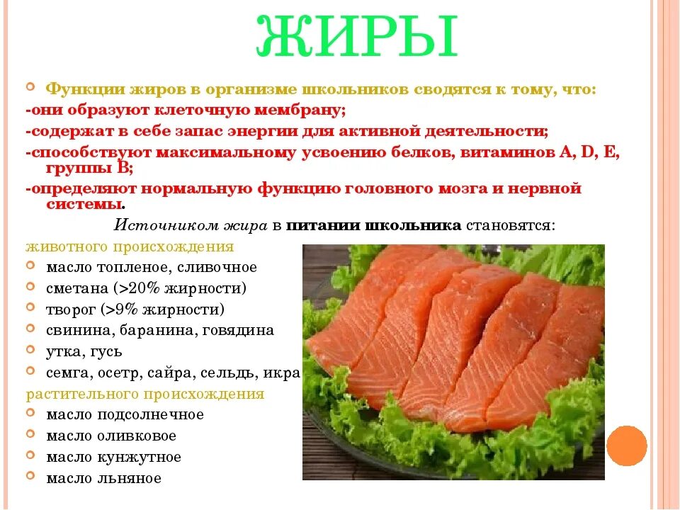 Роль жиров функции. Жиры функции в организме. функции жиров и их источники. жиры и их роль. функции жиров в пище.
