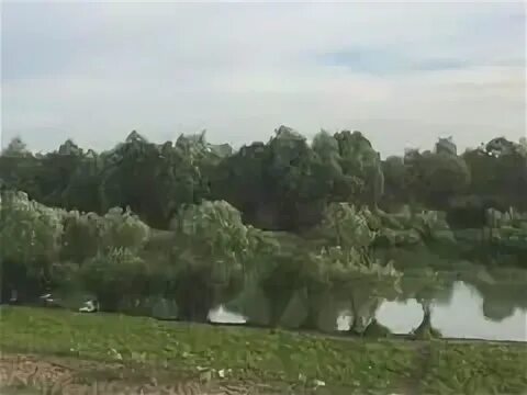 Покрово-иртышское омская область. Большекулачье берег иртыша. Покрово иртышское. Покрово иртышское. Покрово-иртышское омская область школа.