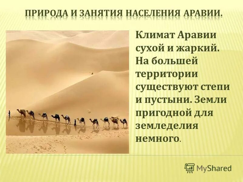 арабы жили на аравийском полуострове и занимались. 1. саудовская аравия презентация. персы и арабы. занятия населения в пустыне.