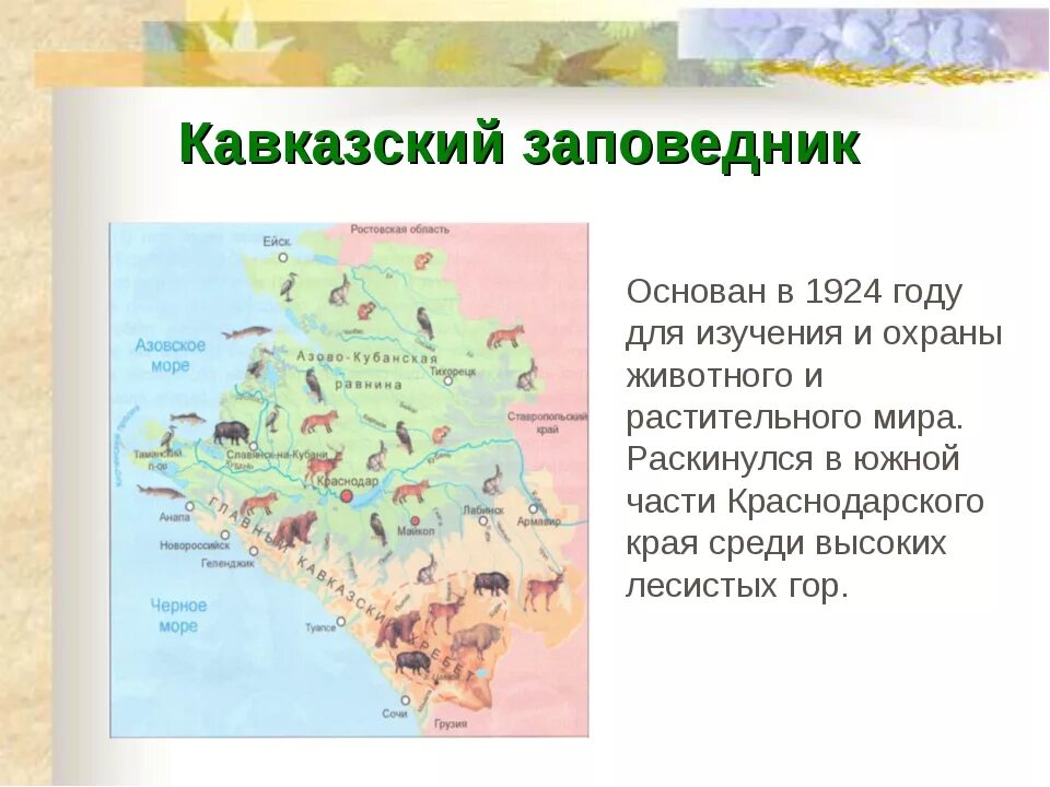 Кавказский заповедник Краснодарского края презентация. Заповедники и заказники Краснодарского края. Заповедники Краснодарского края на карте. Заповедники Краснодарского края доклад. Сообщение про краснодарский край