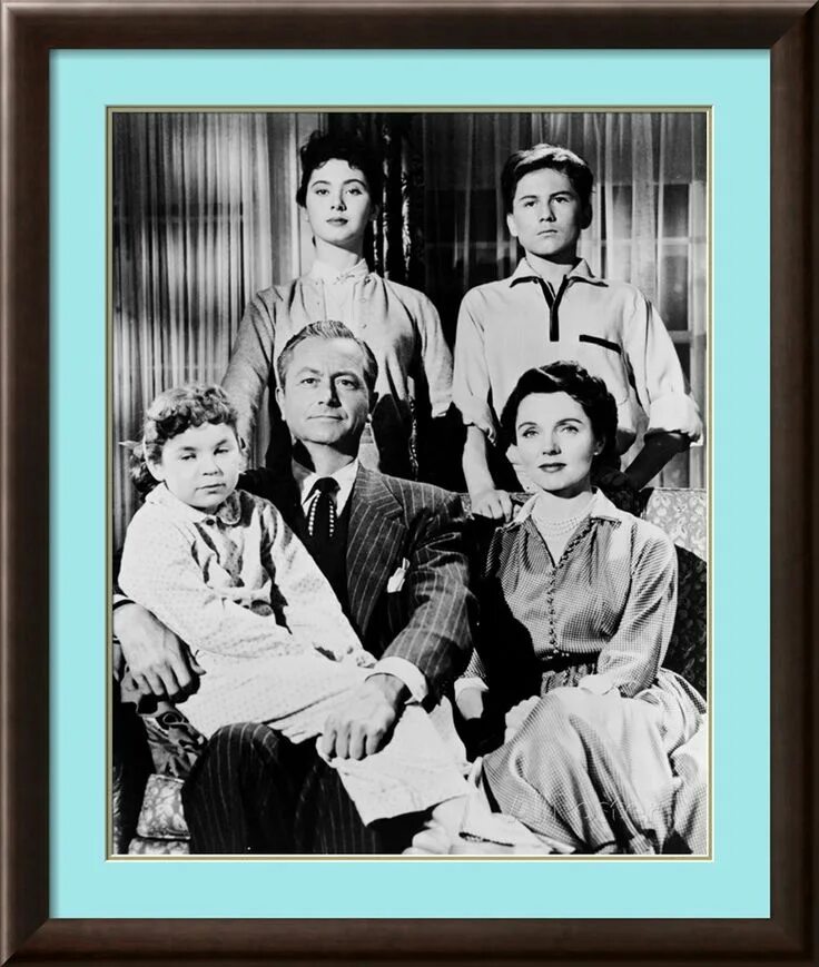 1950s family. Father knows less book. Father knows less book. 1950s family sitcoms. Father know the best state.