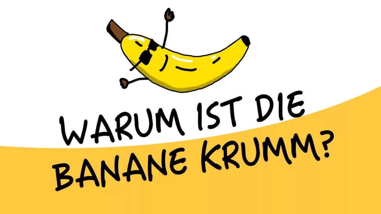 Warum на русский. Warum на русский. Warum на русский. Ran an die banane перевод. Warum вопросы.