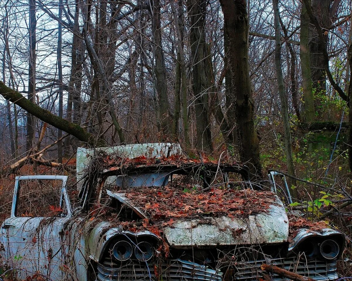 Позабытый брошенный. Заброшенные автомобили. Заброшенные автомобили в лесу. Ржавые машины в лесу. Старые заброшенные автомобили.