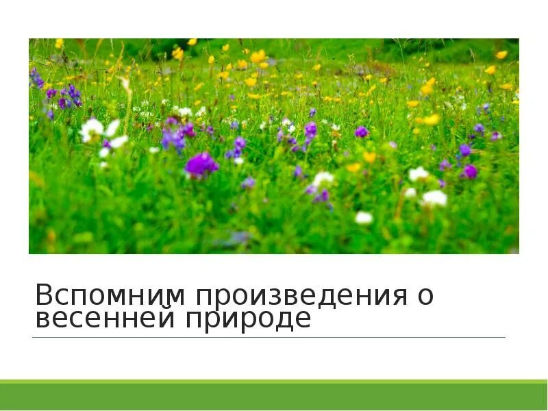 Обобщение по разделу природа
