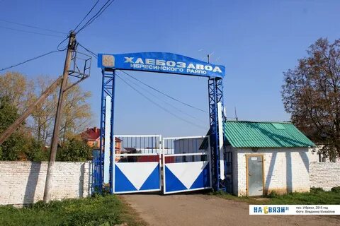 Ибреси