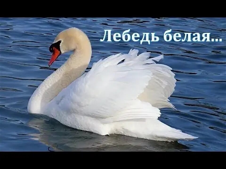 Picture background