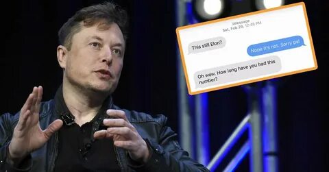 Musk загадка 30.08