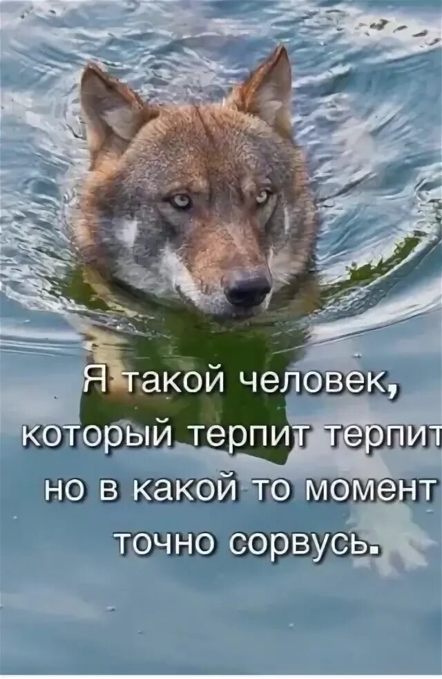 Мы терпим