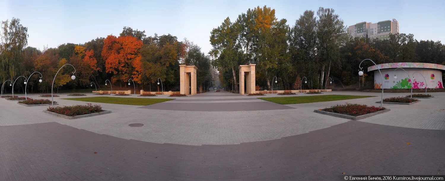 Парк Динамо Воронеж. Воронежский Центральный парк Динамо. Парк Динамо Воронеж осенью. Парк Динамо Воронеж аттракционы.