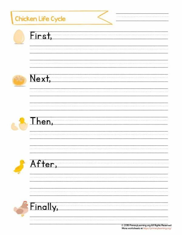 First then finally. First then after that finally. First next then after that. Life Cycle of a Chicken. First then next finally.