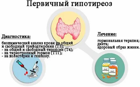 Первичный гипотиреоз уровень ттг