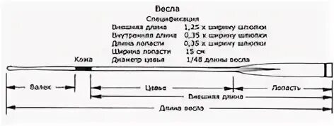 Внешняя длина