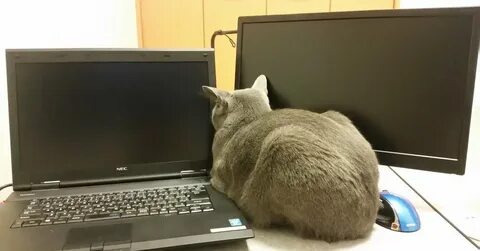Сижу представляешь