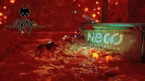 Stray похожие