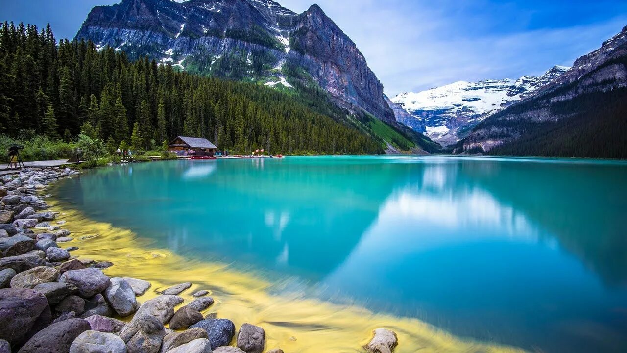 Девушка отдыхает на траве. Успокаивающий пейзаж. Ютуб успокаивающую. Ютуб успокаивающую. Расслабление природа.