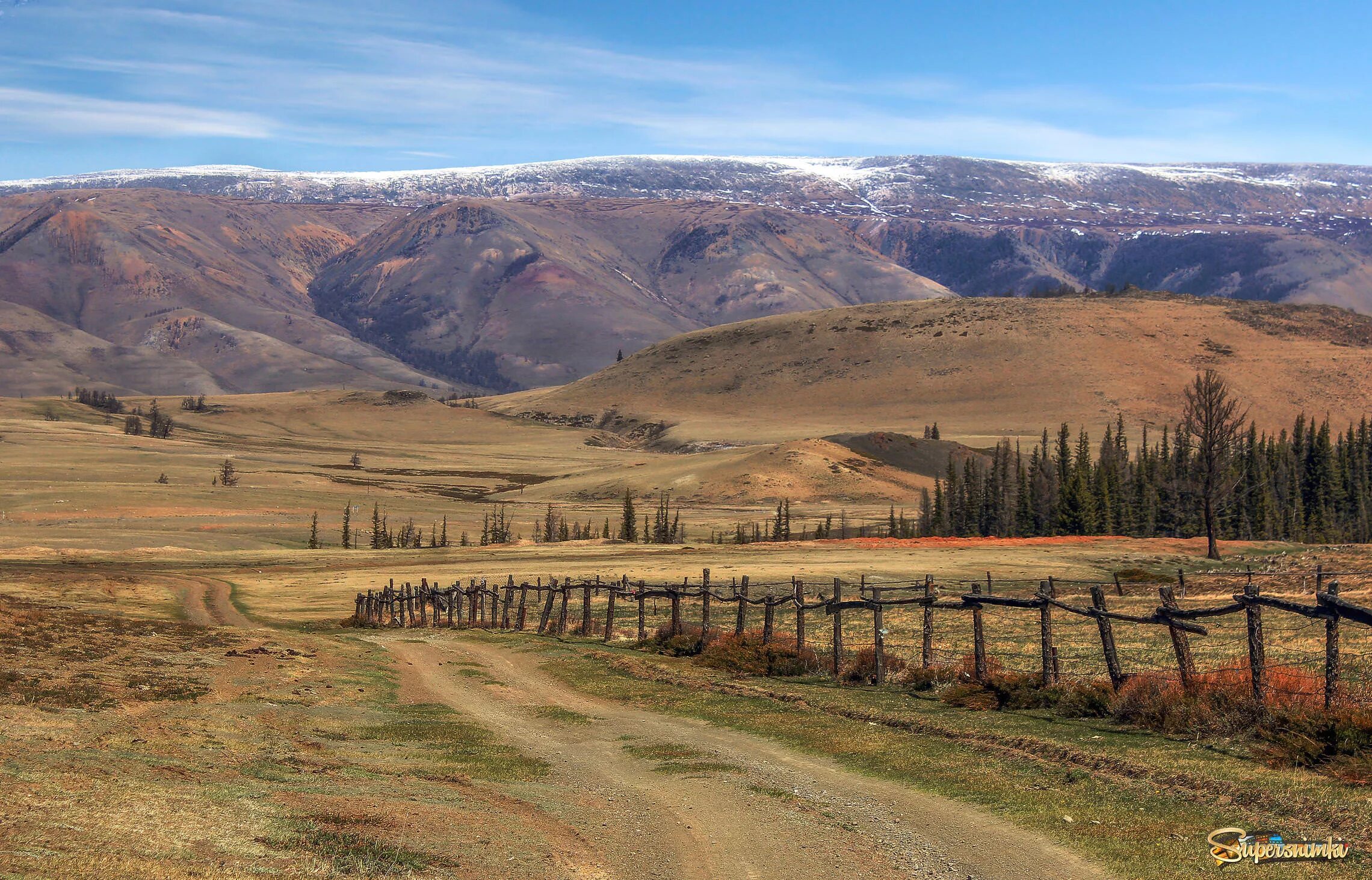 Село курай. Курай Алтай. Село курай Красноярский край. Курай Гафурийский район.