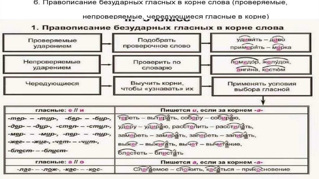 Проверяемые гласные тест. Орфографические нормы примеры. Орфограгические нормы. Правописание слов. Орфографические нормы русского языка примеры.