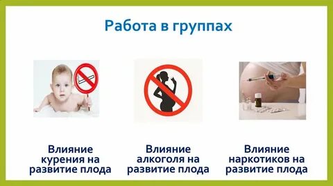 Влияние наркотиков на развитие зародыша