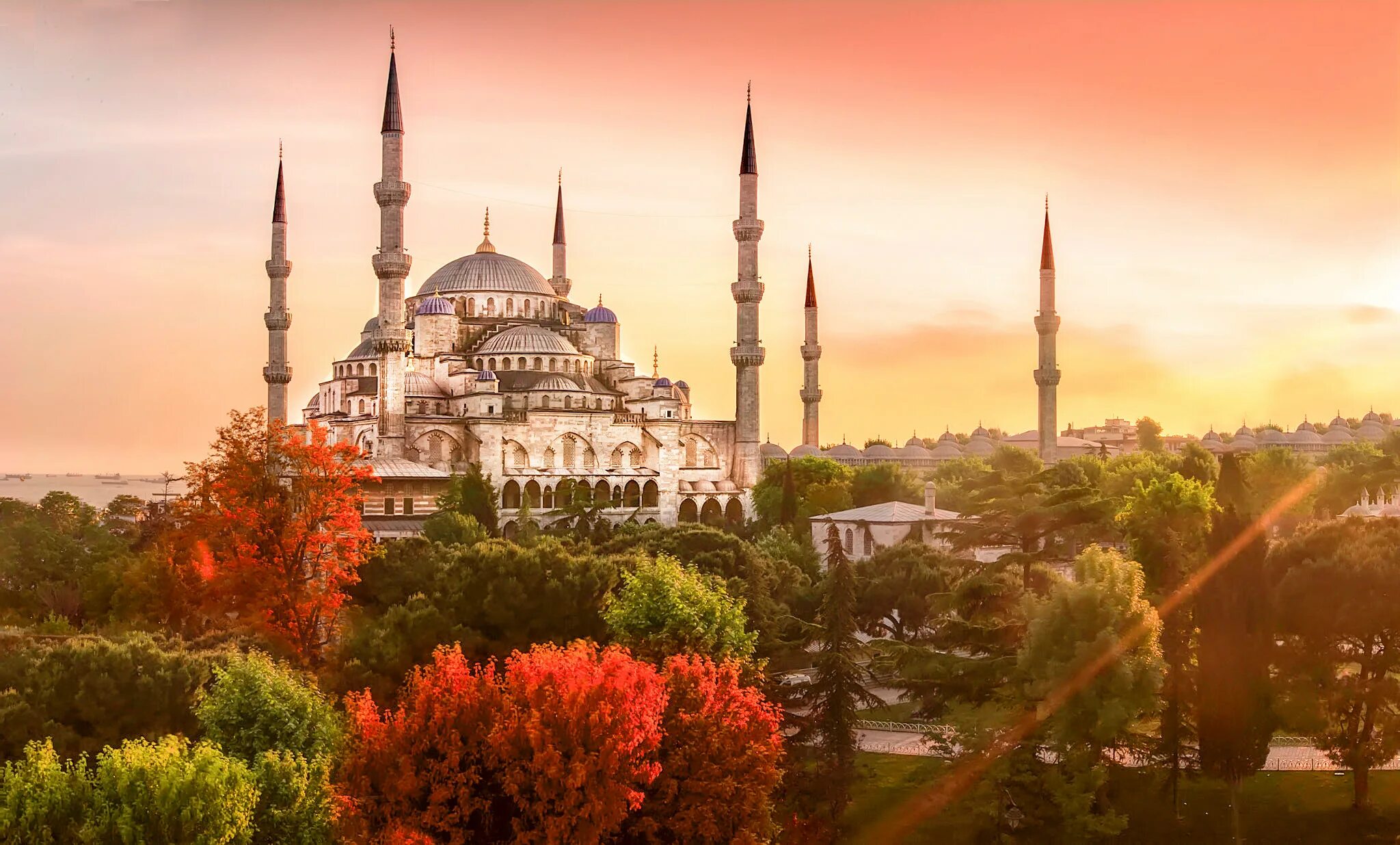 2 2 4 turkey. Голубая мечеть 6 минаретов. Blue Mosque Стамбул 2022.
