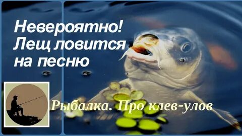Музыку ловлю