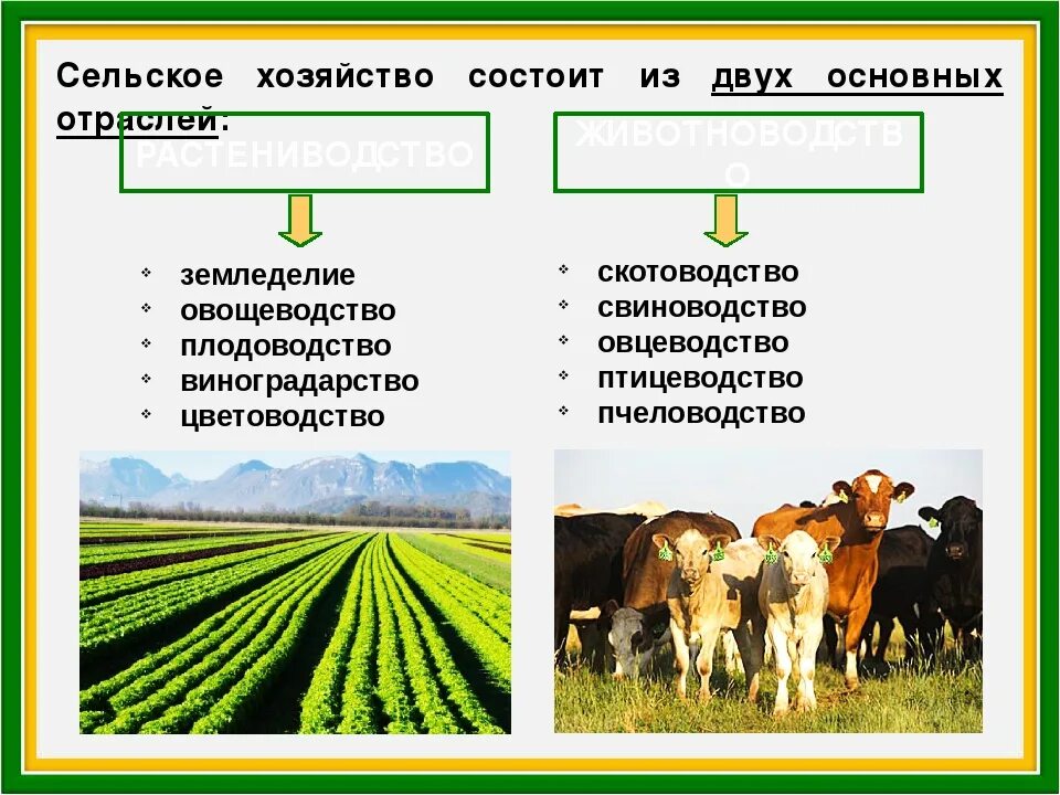 Типы развития сельского хозяйства. География сельского хозяйства. сельское хозяйство мира. сельское хозяйство мира таблица. презентация на тему сельское хозяйство.
