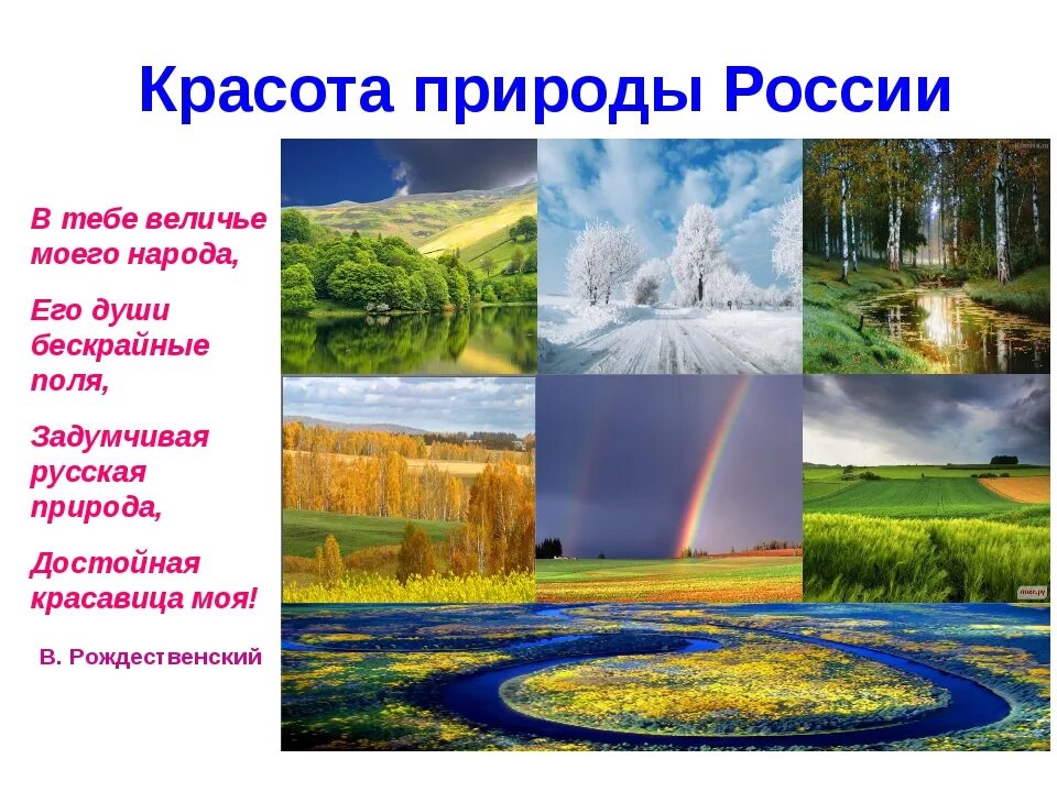 Природа для презентации. Проект на тему природа. Проект на тему природа России. Презентация на тему природа.