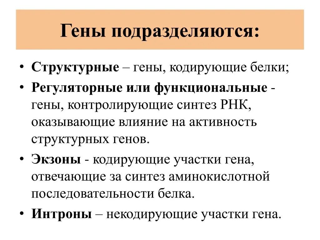 Участки структурного гена. Структурные и функциональные гены. Структурные и регуляторные гены. Функциональная классификация генов (структурные, регуляторные). Классификация генов: структурные и регуляторные.